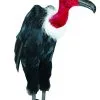 Aasgeier Mit Schwarzem Schnabel & Federn -Halloween Deko Verkäufe aasgeier mit schwarzen schnabel halloween deko geisterbahndekoration halloweenfiguren 14900 01