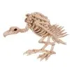 Aasgeier Tierskelett -Halloween Deko Verkäufe aasgeier skelett geier skelett vulture skeleton halloween deko 39349 01