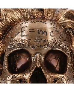 Albert Einstein Totenschädel 21cm -Halloween Deko Verkäufe albert einstein totenkopf albert einstein totenschaedel albert einstein skull 54562 05