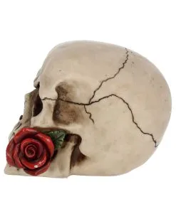 Beiger Totenschädel Mit Roter Rose 15cm -Halloween Deko Verkäufe beiger totenkopf mit roter rose beiger totenschaedel mit roter rose antic skull with red rose 53389 03