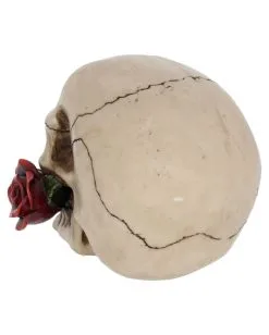 Beiger Totenschädel Mit Roter Rose 15cm -Halloween Deko Verkäufe beiger totenkopf mit roter rose beiger totenschaedel mit roter rose antic skull with red rose 53389 04