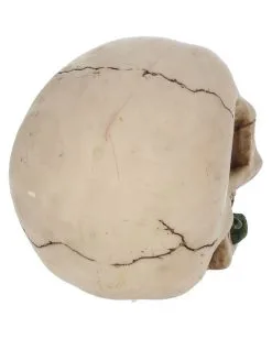 Beiger Totenschädel Mit Roter Rose 15cm -Halloween Deko Verkäufe beiger totenkopf mit roter rose beiger totenschaedel mit roter rose antic skull with red rose 53389 05