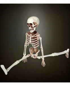 Bewegliches Skelett Gerippe 40cm -Halloween Deko Verkäufe bewegliches skelett 40cm posable skeleton 40cm halloween deko skelett deko 52010 03
