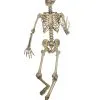 Lebensgroßes Skelett Biegsam -Halloween Deko Verkäufe biegsames skelett lebensgross halloween deko posaable skeleton life size 27430