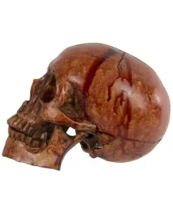 Blutiger Skull Mit Beweglichem Kiefer -Halloween Deko Verkäufe blutiger totenkopf mit beweglichem kiefer halloween skelett dekoration totenschaedel blutig 28818 2