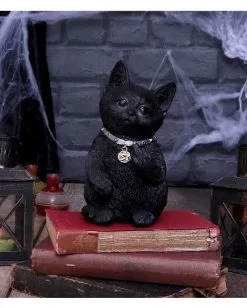 Freche Katze Zeigt Mittelfinger 16,5cm -Halloween Deko Verkäufe cattitude katze zeigt mittelfinger cattitude cat showing middle finger gothic deko geschenkartikel 53939 7