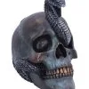 Schuppige Schlange In Totenkopf 19cm -Halloween Deko Verkäufe das schicksal der schlange gothic schaedel 19cm serpentine fate gothic snake skull gothic deko totenkopf 53993