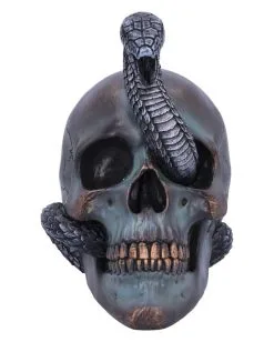Schuppige Schlange In Totenkopf 19cm -Halloween Deko Verkäufe das schicksal der schlange gothic schaedel 19cm serpentine fate gothic snake skull gothic deko totenkopf 53993 2