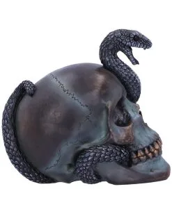 Schuppige Schlange In Totenkopf 19cm -Halloween Deko Verkäufe das schicksal der schlange gothic schaedel 19cm serpentine fate gothic snake skull gothic deko totenkopf 53993 4