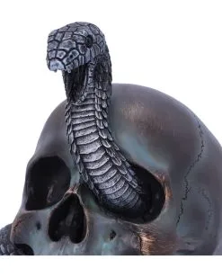 Schuppige Schlange In Totenkopf 19cm -Halloween Deko Verkäufe das schicksal der schlange gothic schaedel 19cm serpentine fate gothic snake skull gothic deko totenkopf 53993 5