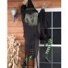 Kletternde Hexe 152 Cm -Halloween Deko Verkäufe fassadenkletter hexe climbing witch 28386