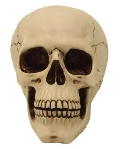 Graveyard Totenschädel Large -Halloween Deko Verkäufe graveyard totenkopf large graveyard totenschaedel graveyard skull large gothic deko 52351 02