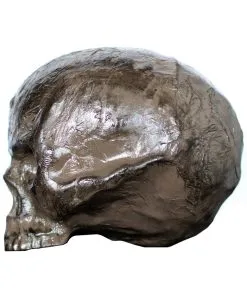 Modriger Halloween Totenkopf -Halloween Deko Verkäufe halloween totenschaedel vermodert rotten halloween skull totenkopf horror dekoration 52601 2