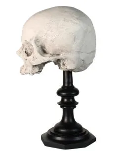 J. DOE Totenschädel Auf Sockel 20cm -Halloween Deko Verkäufe j doe totenkopf auf sockel j doe totenschaedel auf sockel j doe skull plinth gothic homware 54857 02