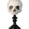 J. DOE Totenschädel Auf Sockel 20cm -Halloween Deko Verkäufe j doe totenkopf auf sockel j doe totenschaedel auf sockel j doe skull plinth gothic homware 54857 04