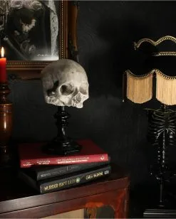 J. DOE Totenschädel Auf Sockel 20cm -Halloween Deko Verkäufe j doe totenkopf auf sockel j doe totenschaedel auf sockel j doe skull plinth gothic homware 54857 05