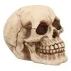 Kleiner Grinsender Totenkopf 12cm 1 Kleiner Grinsender Totenkopf 12cm -Halloween Deko Verkäufe kleiner grinsender totenschaedel small joker skull totenkopf dekoration gothic deko 50730 01