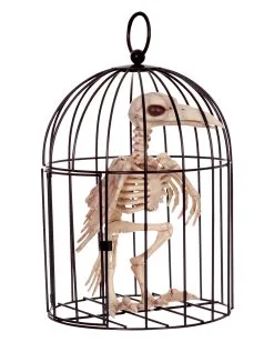 Raben Skelett Im Käfig