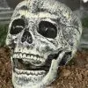 Kunststoff Totenschädel 20cm 2 Kunststoff Totenschädel 20cm -Halloween Deko Verkäufe kunststoff totenkopf 20cm totenschaedel halloween dekoration skull decoration 35977