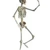 Positionierbares Halloween Skelett 160cm -Halloween Deko Verkäufe lebensgrosses halloween skelett 160cm lifesize poese hold skeleton halloween und horror deko 53537
