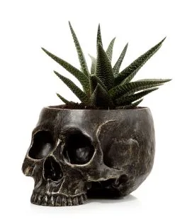 Marmorierter Gothic Totenschädel Pflanzentopf 9 Marmorierter Gothic Totenschädel Pflanzentopf -Halloween Deko Verkäufe marmorierter gothic totenkopf pflanzenschale gothic totenschaedel pflanzenschale gothic skull plant pot 54615 02