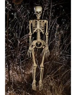 Bewegliches Knochenskelett 90cm 7 Bewegliches Knochenskelett 90cm -Halloween Deko Verkäufe positionierbares knochenskelett halloween deko skelett mit beweglichen gelenken halloween und horror deko 52003 2