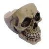 Aschenbecher Totenschädel -Halloween Deko Verkäufe schaedel aschenbecher totenkopf dekoration skeleton ash tray 27476