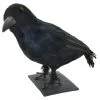 Rabe Schwarz 32 Cm 1 Rabe Schwarz 32 Cm -Halloween Deko Verkäufe schwarzer rabe halloween deko realistic crow halloween decoration 10472