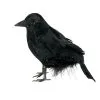 Schwarzer Rabe 15 Cm 1 Schwarzer Rabe 15 Cm -Halloween Deko Verkäufe schwarzer rabe mit echten federn als halloween dekoration 22389