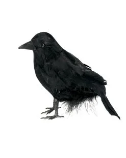 Schwarzer Rabe 15 Cm