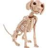 Sitzendes Hundeskelett 30 Cm -Halloween Deko Verkäufe sitzendes hunde skelett halloween deko skeleton sitting puppy halloween deco 38862 01