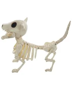 Hunde Skelett Mit Knochen 27cm -Halloween Deko Verkäufe skelett hund mit knochen hunde skelett mit knochen skeleton dog with bone 52641 03