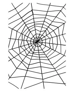 Spinnennetz Schwarz