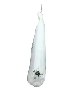 Spinnweben Kokon Mit Totenkopf