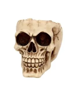 Realistische Totenschädel Schale Mit Offener Schädeldecke -Halloween Deko Verkäufe totenschaedel schale mit offener schaedeldecke realistic skull mug morbide gothic deko halloween deko totenschaedel 39289 3
