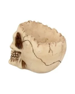 Realistische Totenschädel Schale Mit Offener Schädeldecke -Halloween Deko Verkäufe totenschaedel schale mit offener schaedeldecke realistic skull mug morbide gothic deko halloween deko totenschaedel 39289 5