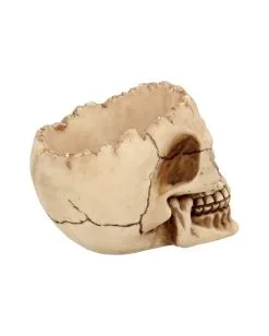 Realistische Totenschädel Schale Mit Offener Schädeldecke -Halloween Deko Verkäufe totenschaedel schale mit offener schaedeldecke realistic skull mug morbide gothic deko halloween deko totenschaedel 39289 6