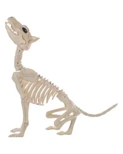 Werwolf Skelett 70cm -Halloween Deko Verkäufe werwolf skelett werwolf skeleton halloween skelett halloween deko 52649 03