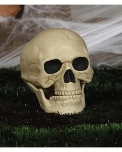 Wetterfester Totenschädel Mit Beweglichem Kiefer 20cm 7 Wetterfester Totenschädel Mit Beweglichem Kiefer 20cm -Halloween Deko Verkäufe wetterfester totenkopf mit beweglichem kiefer weatherproof skull with moveable jaw halloween totenschaedel 53405 04