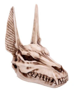 Anubis Totenschädel Figur 17cm 11 Anubis Totenschädel Figur 17cm -Halloween Deko Verkäufe anubis totenkopf figur anubis totenschaedel figur anubis skull figurine 51020 05