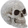 Aurora Borealis Totenschädel 16cm -Halloween Deko Verkäufe aurora boreali totenkopf aurora boreali totenschaedel aurora boreali skull priceless grin skull 53390 01