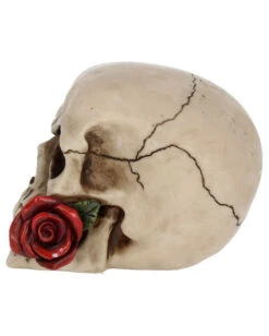 Beiger Totenschädel Mit Roter Rose 15cm -Halloween Deko Verkäufe beiger totenkopf mit roter rose beiger totenschaedel mit roter rose antic skull with red rose 53389 03
