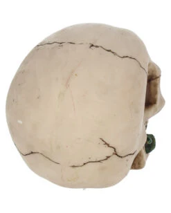 Beiger Totenschädel Mit Roter Rose 15cm -Halloween Deko Verkäufe beiger totenkopf mit roter rose beiger totenschaedel mit roter rose antic skull with red rose 53389 05