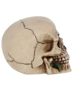 Beiger Totenschädel Mit Roter Rose 15cm -Halloween Deko Verkäufe beiger totenkopf mit roter rose beiger totenschaedel mit roter rose antic skull with red rose 53389 06