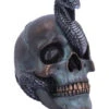 Schuppige Schlange In Totenkopf 19cm -Halloween Deko Verkäufe das schicksal der schlange gothic schaedel 19cm serpentine fate gothic snake skull gothic deko totenkopf 53993