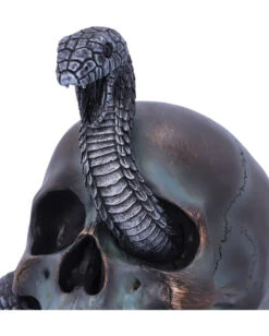 Schuppige Schlange In Totenkopf 19cm -Halloween Deko Verkäufe das schicksal der schlange gothic schaedel 19cm serpentine fate gothic snake skull gothic deko totenkopf 53993 5