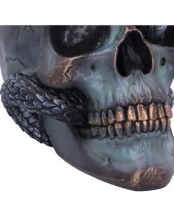 Schuppige Schlange In Totenkopf 19cm -Halloween Deko Verkäufe das schicksal der schlange gothic schaedel 19cm serpentine fate gothic snake skull gothic deko totenkopf 53993 6