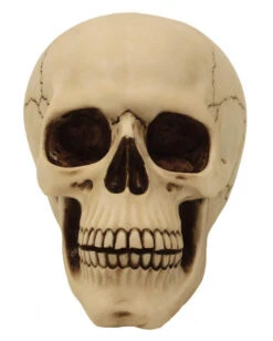 Graveyard Totenschädel Large -Halloween Deko Verkäufe graveyard totenkopf large graveyard totenschaedel graveyard skull large gothic deko 52351 02