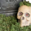 Halloween Deko Moos 100 G -Halloween Deko Verkäufe halloween deko moos 100g halloween friedhof dekoration moos halloween decoration 28263 2