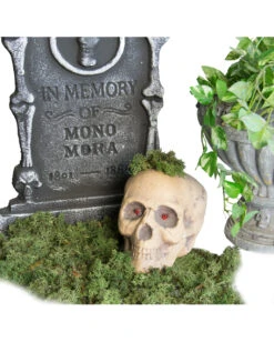 Halloween Deko Moos 100 G 5 Halloween Deko Moos 100 G -Halloween Deko Verkäufe halloween deko moos 100g halloween friedhof dekoration moos halloween decoration 28263